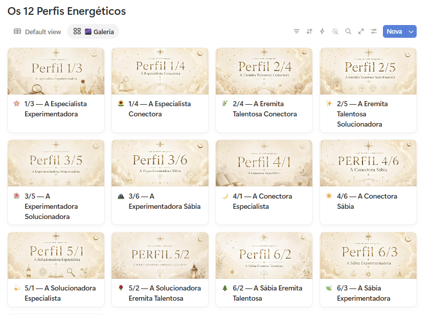 Galeria dos doze perfis energéticos dentro do Manual