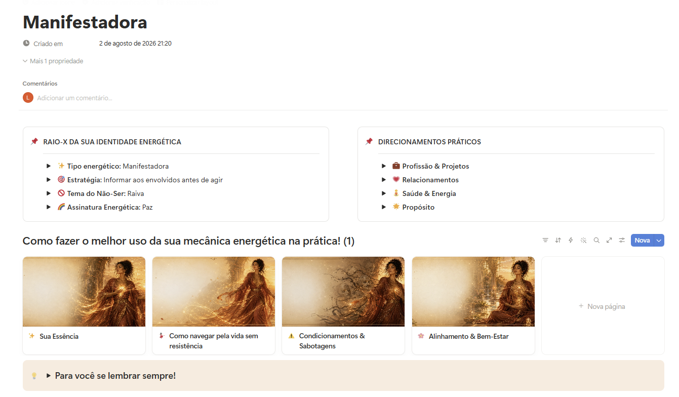 Exemplo do painel de um tipo energético com direcionamentos práticos